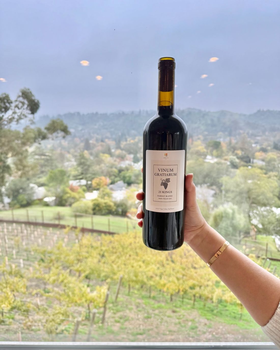 A bottle of Vinum Gratiarum, 21 Kings Family Blend, held up against the vineyard in autumn